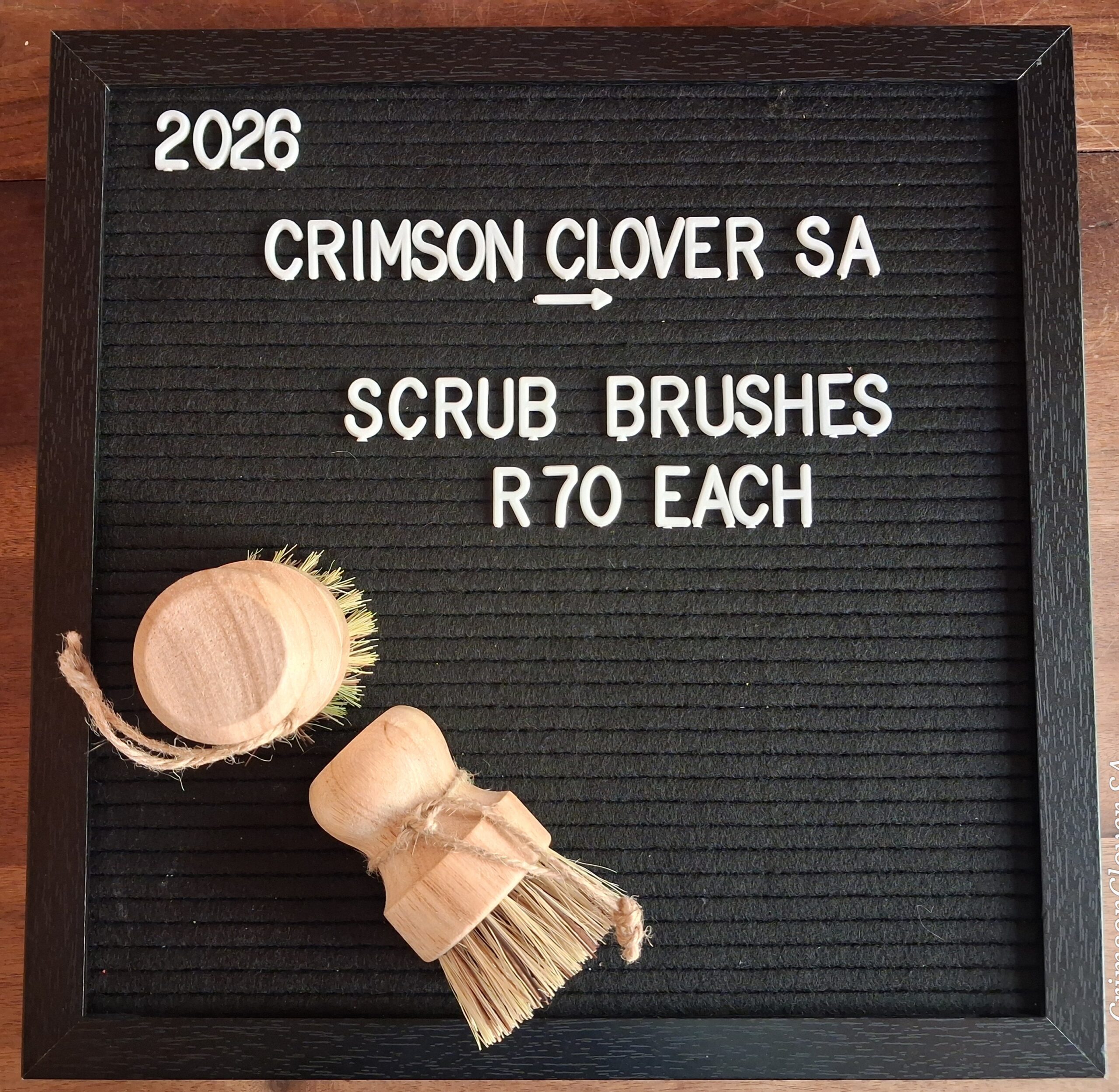 20260218_151924 Solid Soap Dish Brush - Image 3